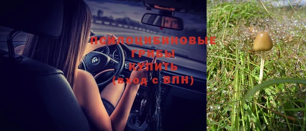 прущая мука Зеленодольск