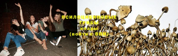 дистиллят марихуана Зеленокумск