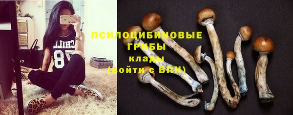 MESCALINE Зерноград