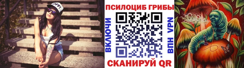 Галлюциногенные грибы Psilocybe  Карабаново 